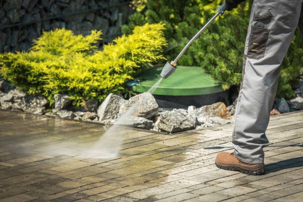 Animal Enclosure Cleaning in Woodward, OK